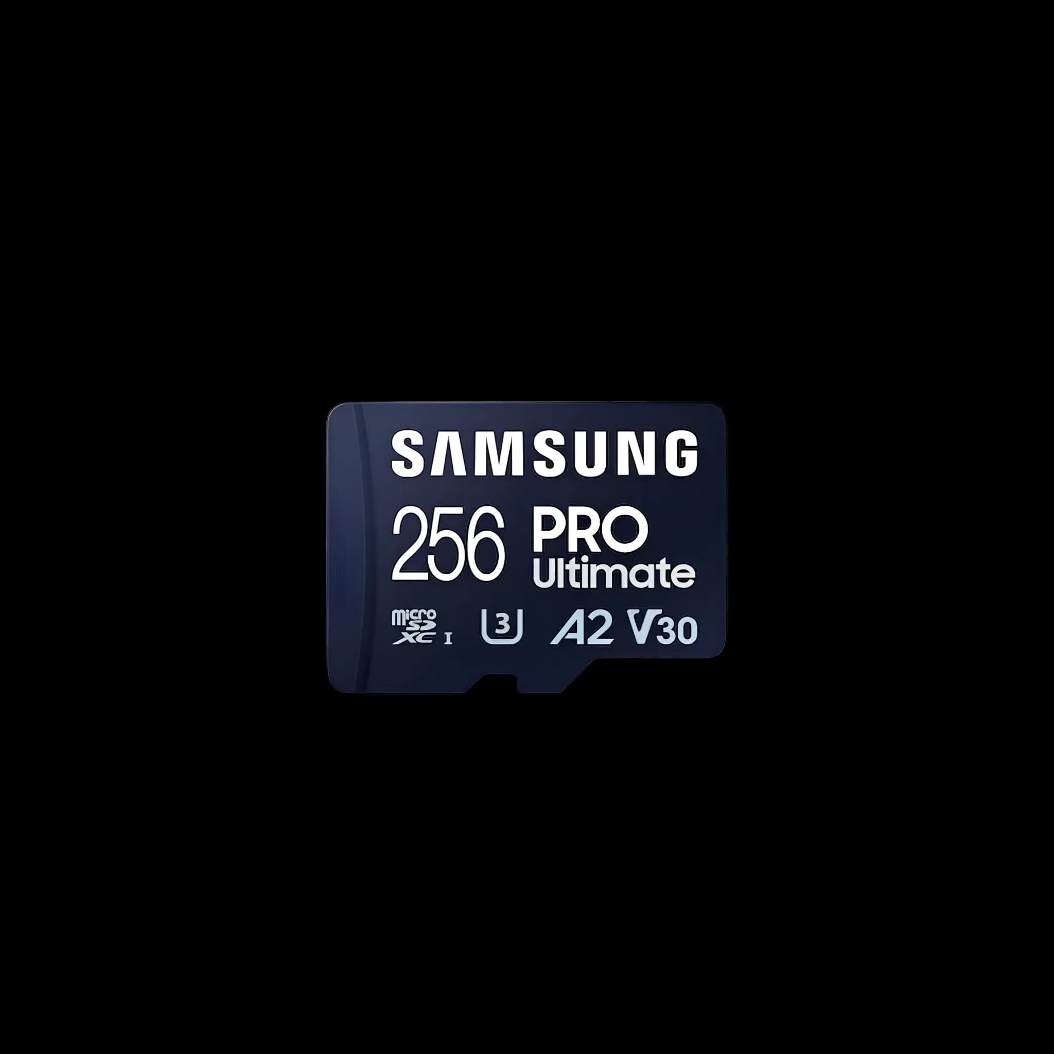 SAM_MICROSD_256_130M_U3
